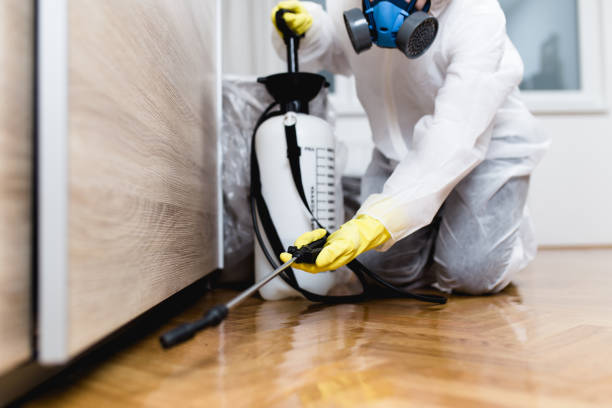 Best Pest Prevention Services  in Marlene Village, OR