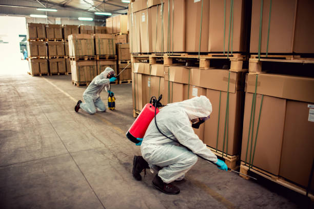 Best Emergency Pest Control  in Marlene Village, OR