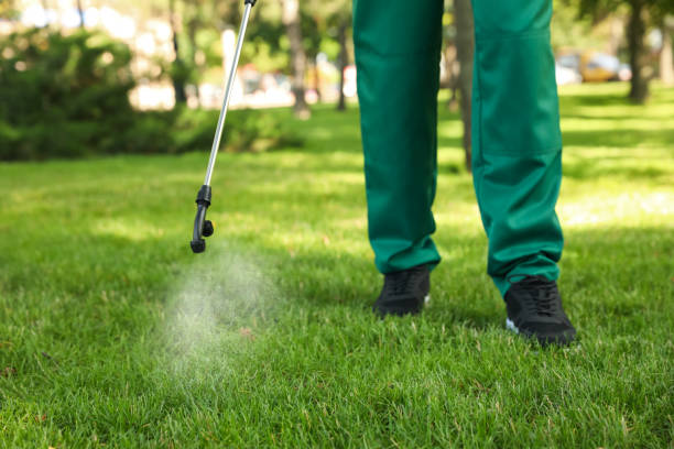 Best Best Pest Control Companies  in Marlene Village, OR
