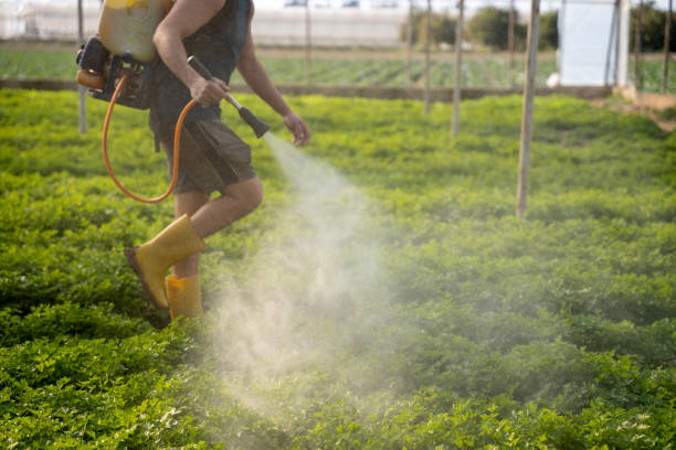 Pest Control Cost in Marlene Village, OR