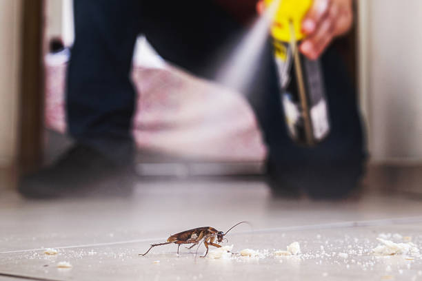 Best Flea Control Services  in Marlene Village, OR