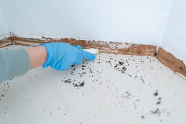 Pest Prevention Services in Marlene Village, OR